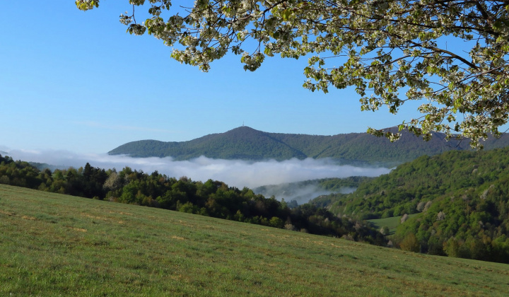 Zobraziť fotografiu