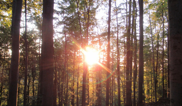 Zobraziť fotografiu