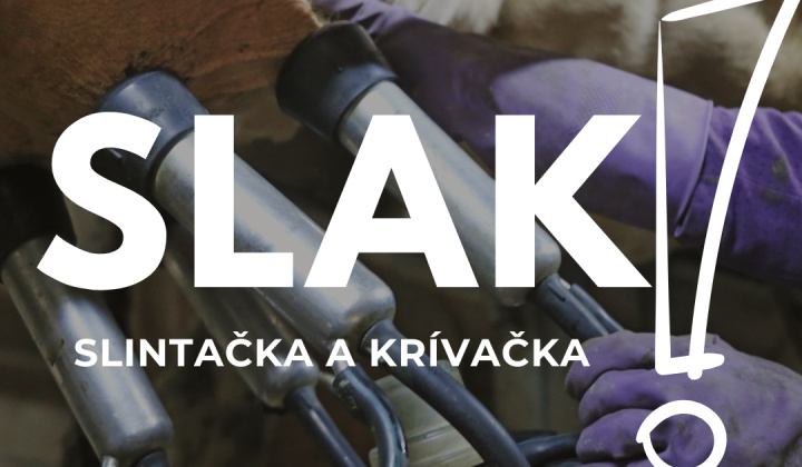 Fotka - Slintačka a krívačka - mimoriadne núdzové opatrenia